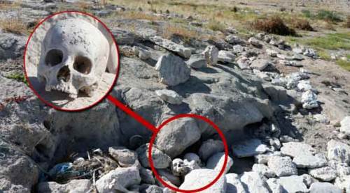 Dehşete düşüren görüntü