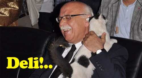 Deli ve bela!