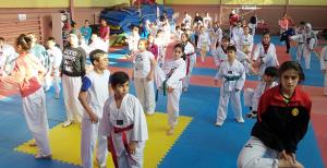 Dem Dem'de tekvando aşkı