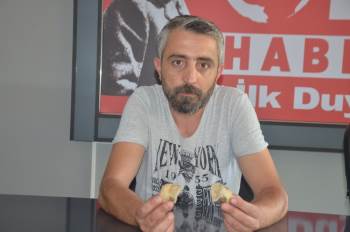 Denizi Olmayan Bilecik’Te Deniz Canlıları Fosilleri Bulundu
