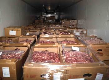 Deprem Bölgesine 22 Ton Et Gönderildi
