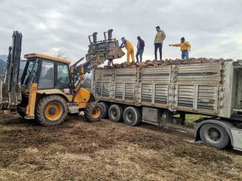 Deprem Bölgesine Yakacak Odun Ve Yem Yardımı Gönderildi
