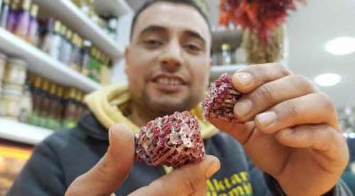 Deprem korkusu onların satışlarını artırdı!