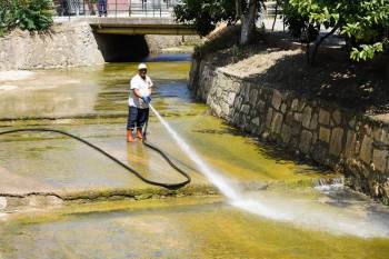 Dere Temizlenince 40 Yıl Önce Görülen Balıklar Yine Görülmeye Başlandı

