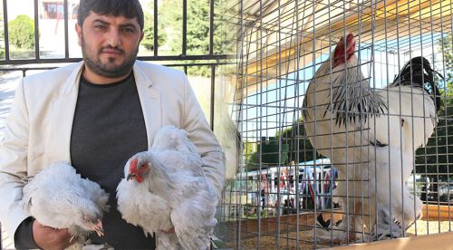 Derneğe destek için binlerce liralık tavuk aldı