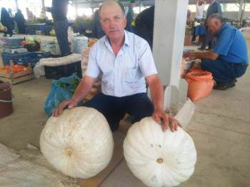 Dev Bal Kabaklarını Satmakta Zorlanıyor
