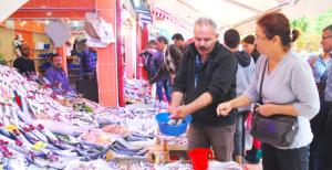 Dev balık ilgi odağı oldu