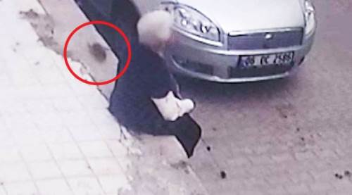 Dev fare yaşlı kadını böyle ısırdı