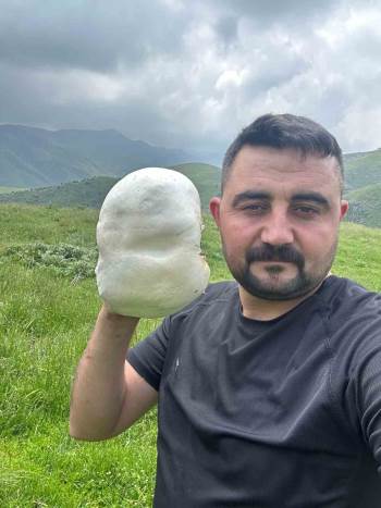 Dev Mantarların Görüntüsü Hayretle Karşılandı
