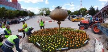 Devlet Hastanesi Çiçeklerle Bezendi
