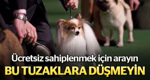 Dikkat! Bu tuzaklara düşmeyin