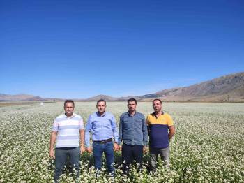 Dinar Çiftçisi Kara Buğdayı Çok Sevdi
