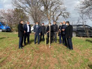 Dinar’Da Deneme Amaçlı Kestane Fidanı Dikildi
