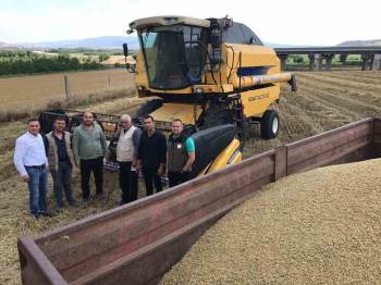 Dinar’Da Hububat Hasadı Başladı
