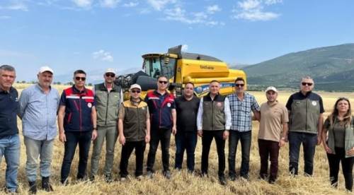 Dinar’da tarlalar biçiliyor: 2025 hasat sezonu başladı