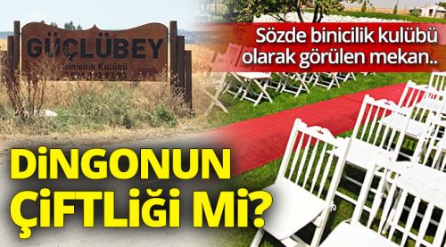 Dingonun Çiftliği mi?