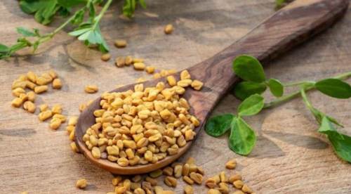 Diyabete İyi Gelen Çemenotunun Faydaları: Hangi Hastalıklara İyi Gelir? Nasıl Kullanılır?