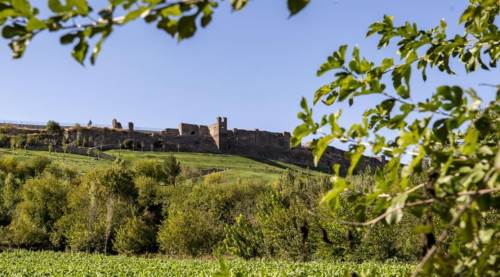 Diyarbakır Nasıl Bir Şehir, Pahalı Mıdır? Diyarbakır'ın Neleri Meşhur ve En Güzel İlçeleri Nerelerdir?