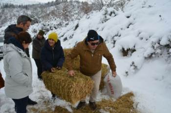 Dkmp Ekipleri Protokol Üyeleriyle Yaban Hayvanlarına Yem Bıraktı
