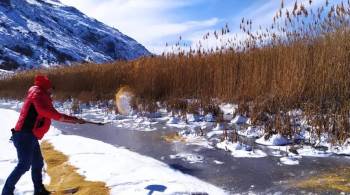 Dkmp Ekipleri Yaban Hayatı İçin Yemleme Çalışması Yaptı
