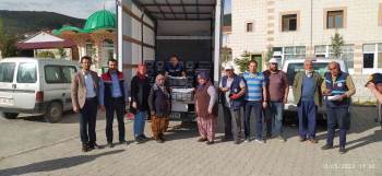 Dodurga Beldesinde Çilek Fidesi Dağıtımı Yapıldı
