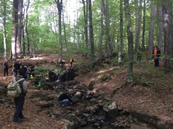 Doğa Ve Fotoğraf Tutkunları Domaniç’E Akın Etti

