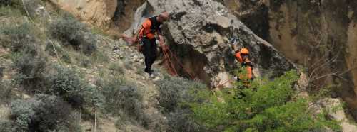 DOĞADA ZOR KOŞULLARDA HAYATTA KALMA