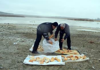 Doğadaki Hayvanlar Aç Kalmasın Diye Yem Bıraktılar
