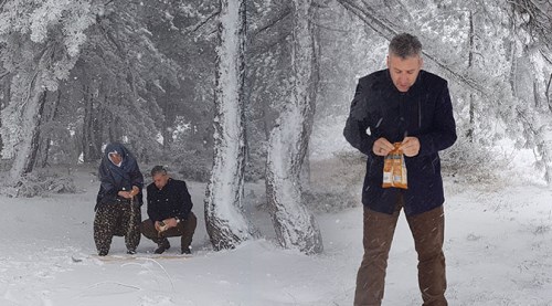 Doğadaki hayvanlar için yem kampanyası