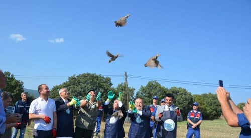 Doğaya 500 keklik salındı