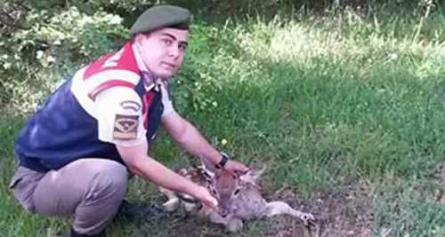 DOĞAYA DÖNECEĞİ GÜNÜ BEKLİYOR