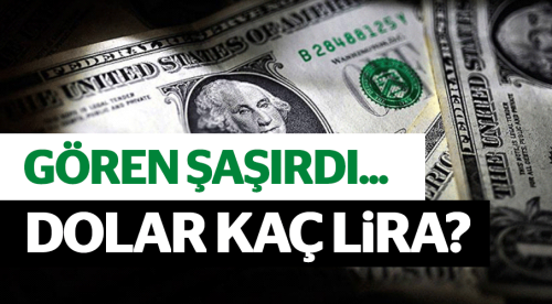 Dolar'ı gören şaşırdı, kaç lira?