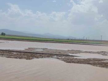 Doludan Zarar Gören Ekili Alanların Tespiti Yapıldı
