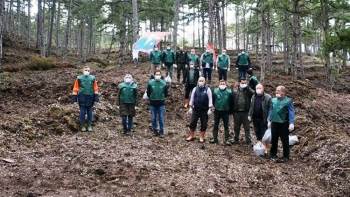 Domaniç Karaçam Tensil Sahasına Tohum Takviyesi
