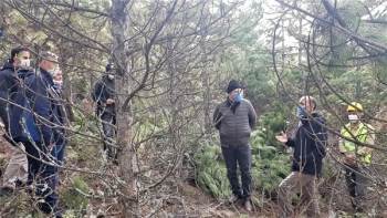 Domaniç Ormanlarında Sıklık Bakımları
