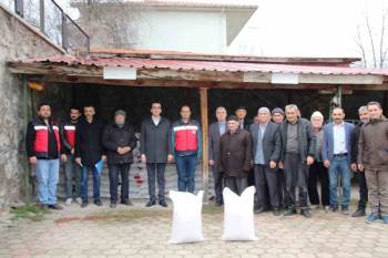 Domaniç’Te 43 Üreticiye Yüzde 50 Hibeli 4 Bin 350 Kilo Nohut Tohumu Dağıtıldı
