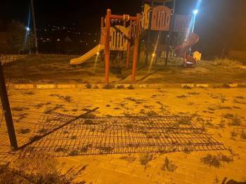 Domaniç’Te Ayı Paniği
