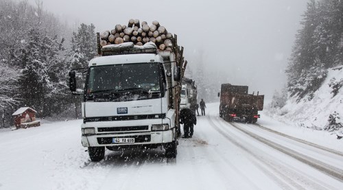 Domaniç'te beyaz çile