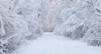Domaniç’Te Eğitim-Öğretime Bir Gün Ara Verildi
