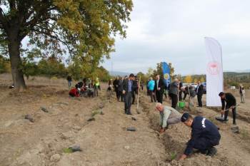 Domaniç’Te Fidan Dikim Etkinliği
