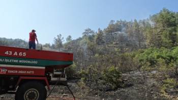 Domaniç’Te Orman Yangını
