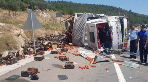 Domates yüklü kamyon devrilince...