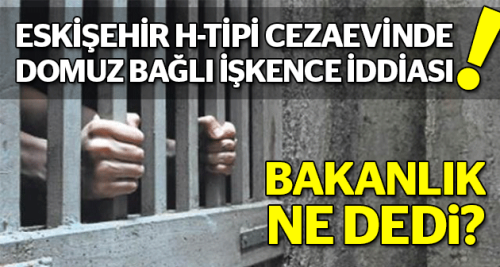 Domuz bağlı işkence iddiasına Bakanlık ne dedi?