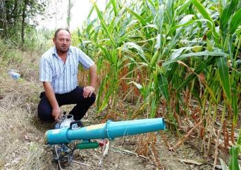 Domuzlara karşı "bombalı" önlem aldı!
