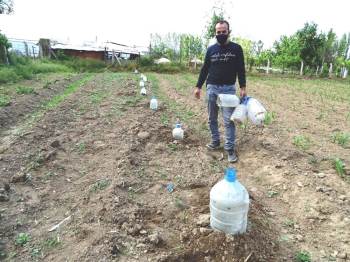 Don Ve Kırağıya Karşı Pet Şişeli Önlem
