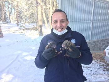 Donmak Üzereyken Bulunan Köpek Ve Yavruları Barınağa Yerleştirildi
