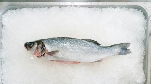 Donmuş Eti Akan Su İle Çözdürme