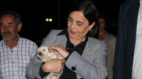 Dr. Jale Nur Süllü'den hayvan hakları mesajı