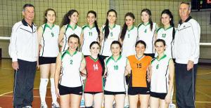 DSi görücüye çıkıyor