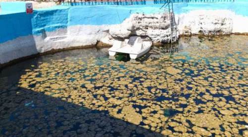 DSİ’ye sert sözler: Eskişehir'de Sakaryabaşı’na sahip çıkın!